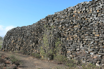 Tour de humedales en Isla Isabela photo 5